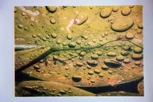 Heidi Hostettler